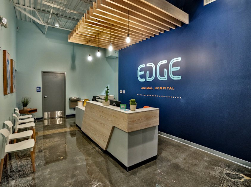 St. Petersburg, FL Veterinary Clinic | EDGE Animal Hospital St. Petersburg, FL Veterinary Clinic | EDGE Animal Hospital